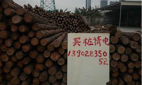广东江门湿地松松油价格_圣尊为什么讨厌莲姬
