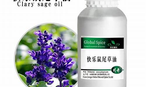 鼠尾草精油的功效与用法用量_重庆鼠尾草油价格