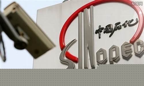 温州中国石化最新消息油价表_温州中国石化最新消息油价