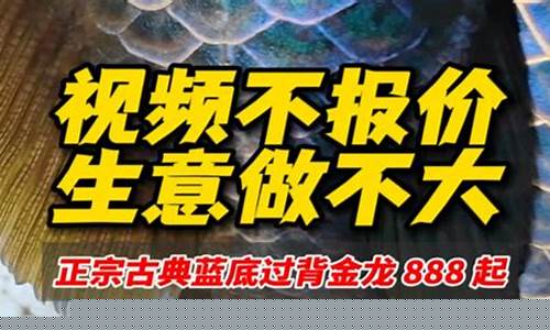 金店没生意_不说金价生意做不大