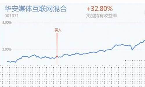 成长基金价值排名_10大成长型基金经理精选