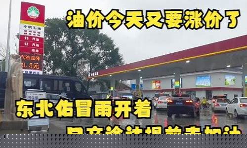 振兴石油加油站_东北振兴加油站油价