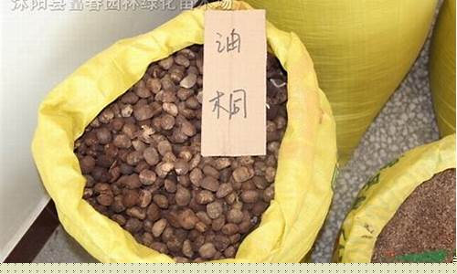 2019桐油价格表_2017年湖南桐油价格