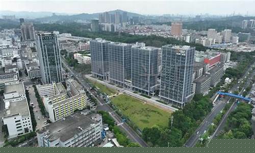 深圳龙华大浪金价走势_深圳龙华大浪金价