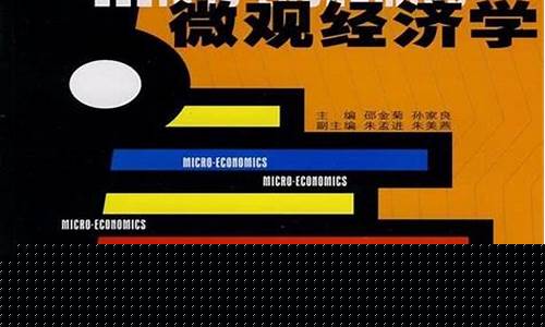 油价类微观经济学论文_油价类微观经济学论文题目