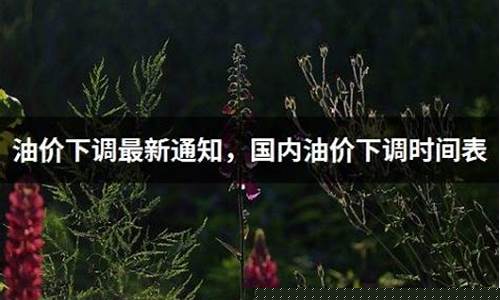 春节油价_春耕油价下调通知
