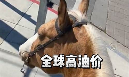 全球油价都在涨吗_全球油价走势分析