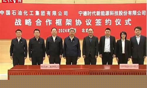 宁德中石化十一月份油价_宁德石化加油站