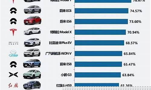 特斯拉y国外价格_特斯拉汽车国际油价