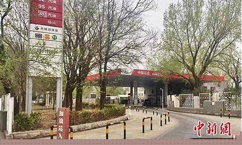 维西县95号油价_维西县95号油价多少
