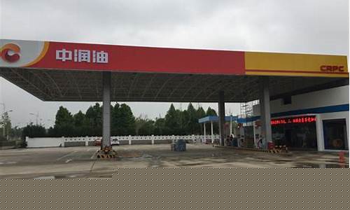 民营加油站92号汽油价格_民营加油站95号汽油价格