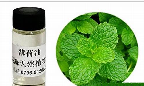 2016薄荷油价格_2017薄荷油价格