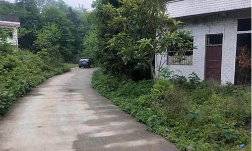 重庆市秀山县柴油价格_重庆市秀山县柴油价格多少