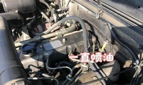 油价太贵车子砸了_油价太贵车子砸了怎么办