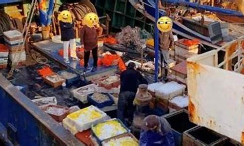 宁波 出海_油价高宁波渔船不出海