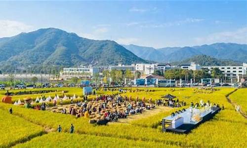 萧山航民村金价走势_萧山航民黄金