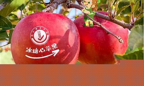 新疆阿克苏的油价_阿克苏油价格