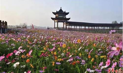 湖南常德桃源周大福金价_周大福常德店电话号码