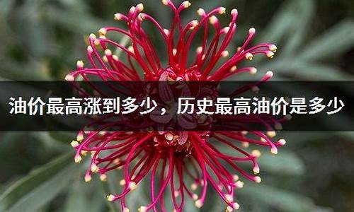 法国历史最高油价多少_法国油价多少钱一升