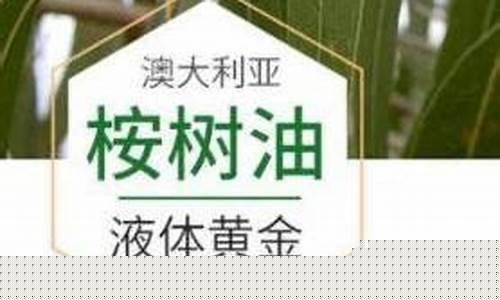 桉树油价格昆明2019_2021昆明桉树油价