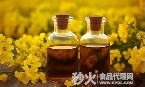 菜籽油价格什么时候降价_每年菜籽油什么时候上市