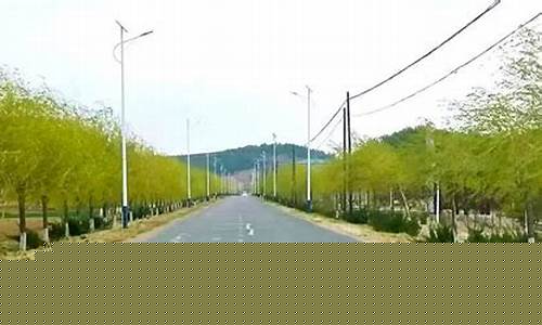 公主岭二十家子地房出售_公主岭二十家子油价