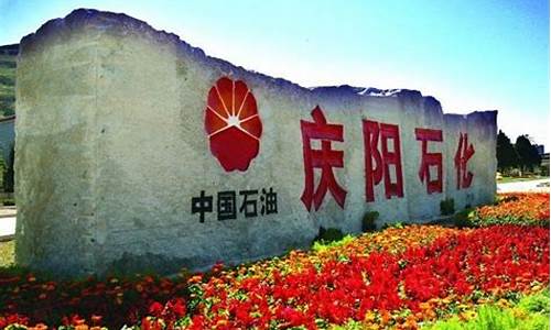 甘肃天水汽油价格_甘肃武威天水油价