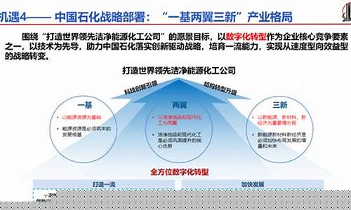 中石化改制企业_企业转型中石化油价
