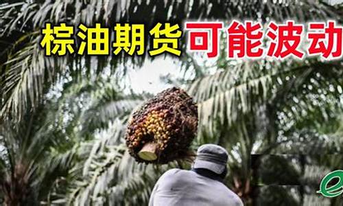 2020棕油价格_2020年棕榈油价格