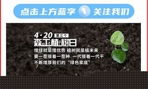 黑龙江森工石油_龙江森工石油价格