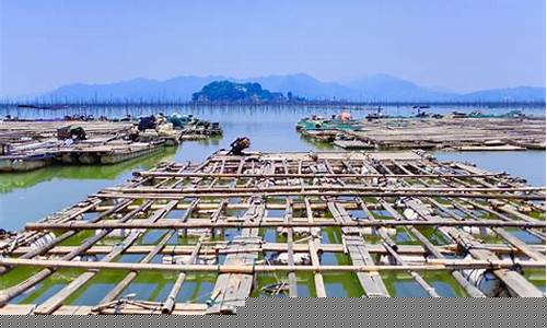 海边渔村92油价_海边渔村92油价是多少