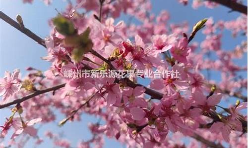浙江专业五金价格实惠_浙江五金批发