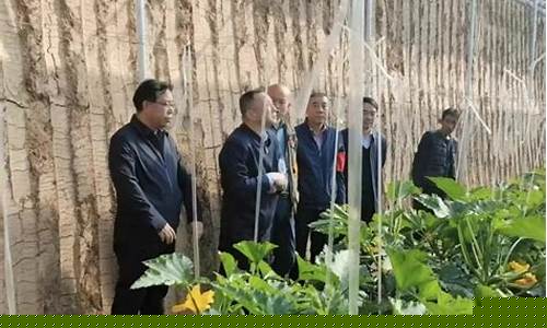 壶关县今日新新闻_壶关新闻壶关油价