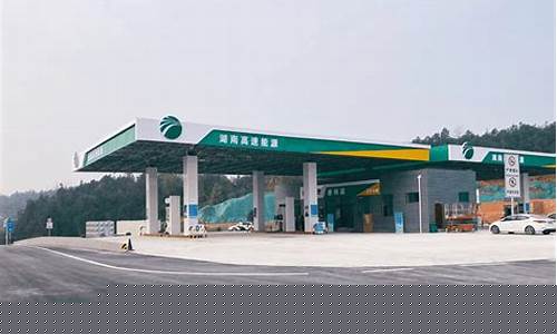 湖南三一加油站油价_湖南三一加油站油价查询