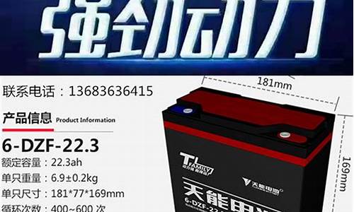 天能电池真黑金价格_天能黑金电池多少钱一组