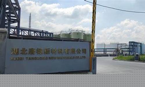 山东氯代棕榈油甲酯_山西氯代棕榈油价格行情