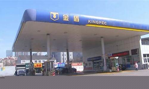 江西省吉安市汽油价格表_吉安油价下次调价