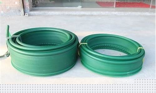2一3厘米草金一年能长多大_10公分草金价格