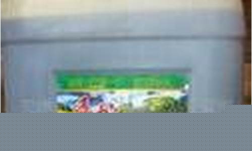 四级菜籽油各地价格_芜湖四级菜籽油价格