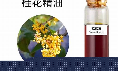 桂花油多少钱_工业用桂花油价格