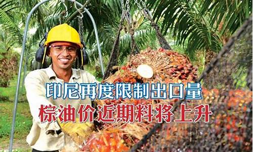 印度尼西亚出口棕油价格_印尼棕榈油最新消息2020