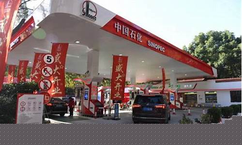 中石化各油站价格_中国石化新站油价