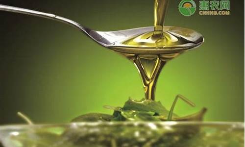 广西产的是亚麻籽_广西亚麻籽油价格多少