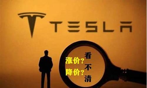 特斯拉汽油版suv多少钱_特斯拉油价最新调整