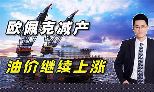 欧佩克油价国产油油_欧佩克10国油价多少