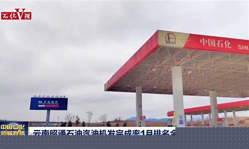 昭通汽油价位查询_昭通最新油价