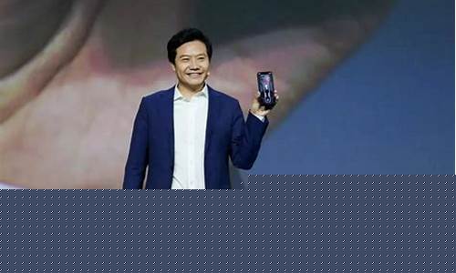 雷军能拿出多少现金_雷军能否打下金价