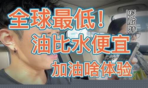 油价最低最高限价_体验全市最低油价