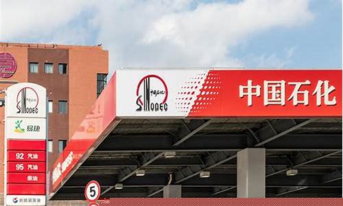 中国石化辽河路加油站油价_中国石油辽河石化公司地址