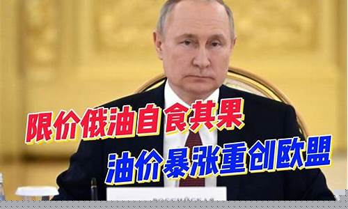 普京负责油价涨价_普京最近的加油站